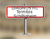 Diagnostic Termite AC Environnement  à Schiltigheim